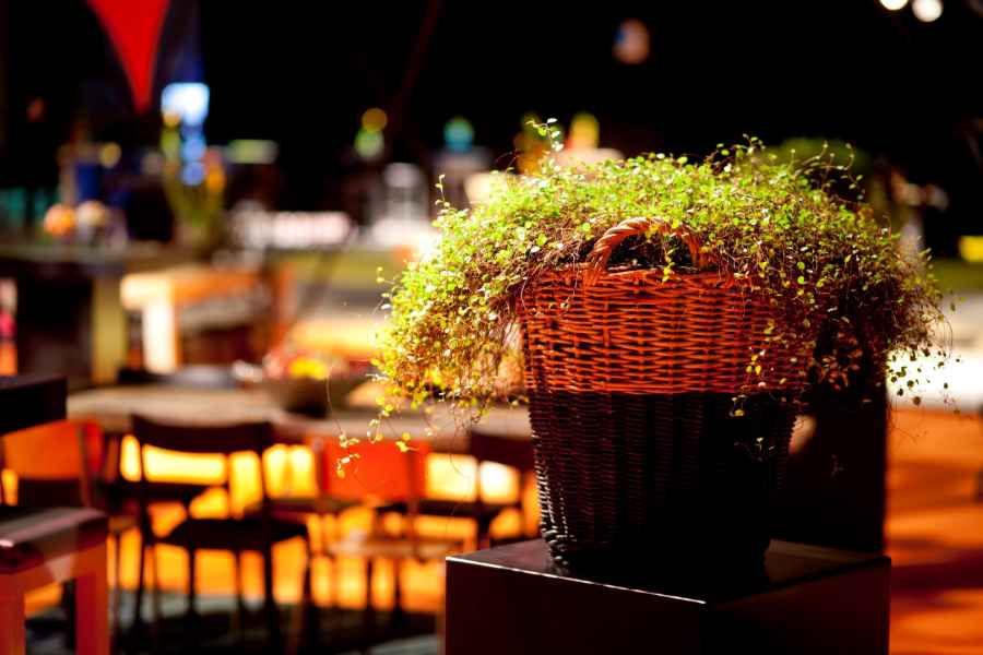 Assortiment